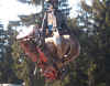 Bild16.jpg (60156 Byte)