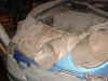 w5.JPG (109256 Byte)